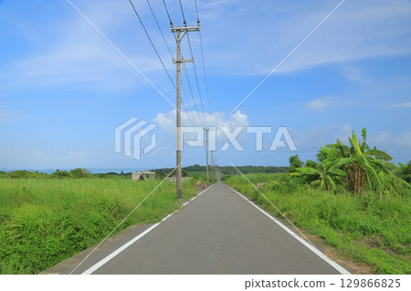 藍天下的小濱島砂糖之路的風景 129866825