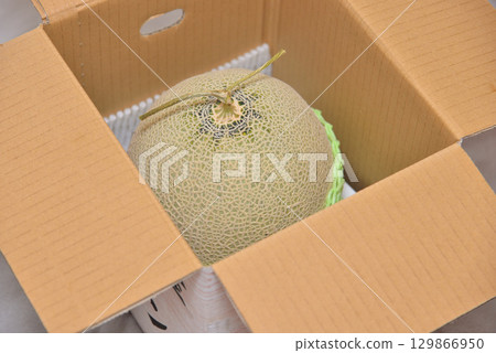 Muskmelon in a cardboard box (produced in Kumamoto Prefecture) Muskmelon in a cardboard box (produced in Kumamoto Prefecture) 129866950
