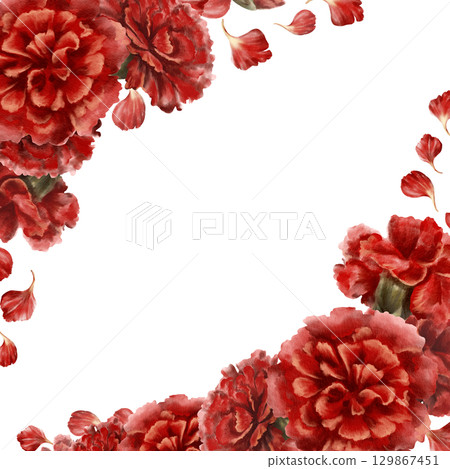 Red carnation flower in square frame as a symbol of mothers day,love,passion,valentine's day confessions. Isolated Watercolor hand-drawn illustration in vintage style as element for card,banner 129867451