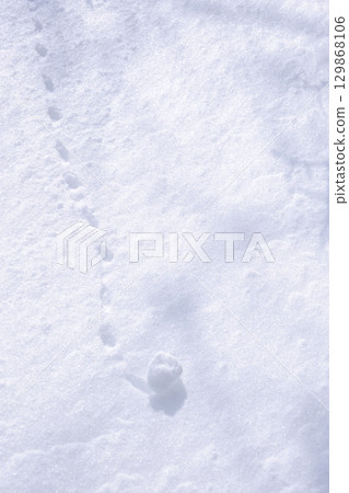 Snow patterns on the snowy field Snow patterns on the snowy field 129868106