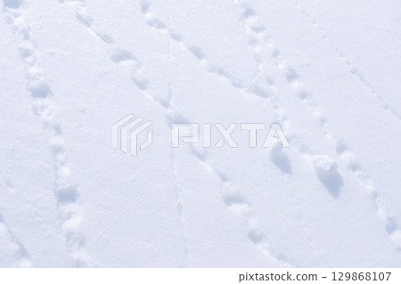 雪地上的積雪圖案 129868107