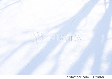 新雪上的樹影映照著雪的圖案 新雪上的樹影映照著雪的圖案 129868108