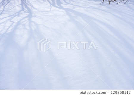 新雪上的樹影映照著雪的圖案 129868112