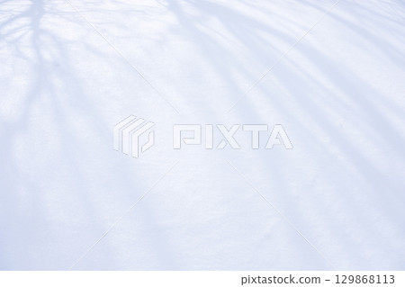 Snow patterns reflected in the shadows of trees on fresh snow 129868113
