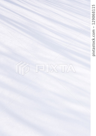 新雪上的樹影映照著雪的圖案 129868115