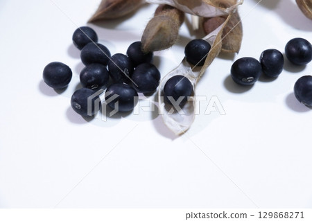 Photo of harvested black beans 129868271
