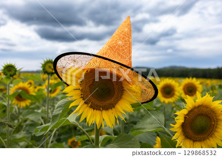 Sunflower Wearing a Festive Orange Witch Hat in a Sunny Field Under a Cloudy Sky 129868532
