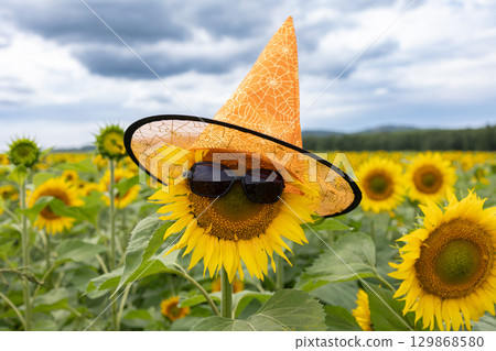Sunflower Wearing Hat and Sunglasses in a Vibrant Field on a Cloudy Day Sunflower Wearing Hat and Sunglasses in a Vibrant Field on a Cloudy Day 129868580