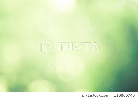 模糊的綠色背景 模糊的綠色背景 129869749