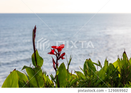 Omaezaki, Omaezaki City, Shizuoka Prefecture, Pacific Ocean scenery 129869982