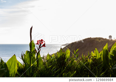 禦前崎，靜岡縣御前崎市，太平洋風光 129869984