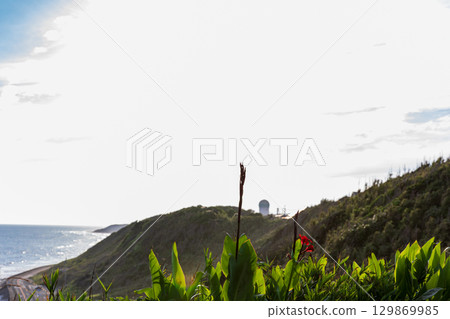 禦前崎，靜岡縣御前崎市，太平洋風光 129869985