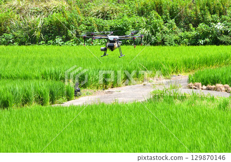 Pesticide spraying by drone Pesticide spraying by drone 129870146