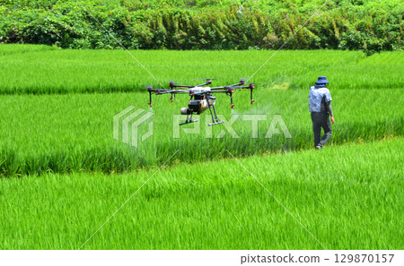 Pesticide spraying by drone Pesticide spraying by drone 129870157