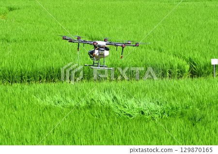 Pesticide spraying by drone 129870165