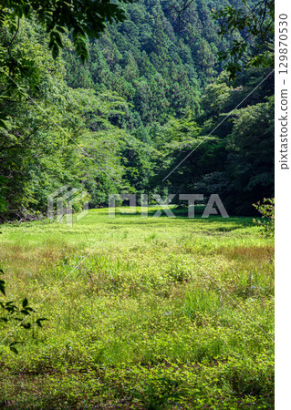 Kajishima, Morimachi, Shuchi District, Shizuoka Prefecture: Mountain village scenery Kajishima, Morimachi, Shuchi District, Shizuoka Prefecture: Mountain village scenery 129870530