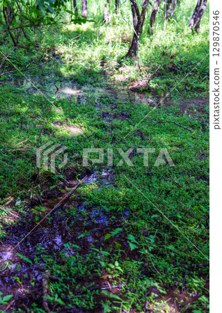 Kajishima, Morimachi, Shuchi District, Shizuoka Prefecture: Mountain village scenery 129870546