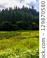 靜岡縣週知郡森町梶島：山村風景 129870580