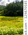 靜岡縣週知郡森町梶島：山村風景 129870585
