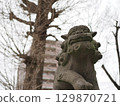 Kameari Katori Shrine's guardian lion dogs 129870721