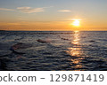 Scenic warm sea sunset view golden sunset over Baltic Sea reflects across rippling waves, creating a glowing path of light. Wooden breakwaters stretch into horizon calm rhythm to tranquil seascape 129871419