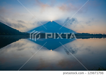 [Shizuoka Prefecture] Double Diamond Fuji as seen from the shores of Lake Tanuki 129871798