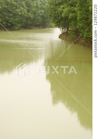 Boi River in Van Long Wetland Natural Reserve. Boi River in Van Long Wetland Natural Reserve. 129872220