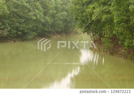 Boi River in Van Long Wetland Natural Reserve. Boi River in Van Long Wetland Natural Reserve. 129872221
