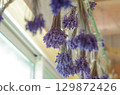 薰衣草 129872426
