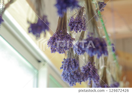 薰衣草 129872426