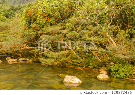 Bank of the Chay River. 129872486