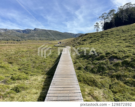 Cradle Mountain National Park, Tasmania, Australia 129872892