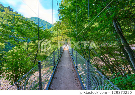 山梨縣山梨市西澤溪谷笛吹川上的二俁吊橋 山梨縣山梨市西澤溪谷笛吹川上的二俁吊橋 129873230