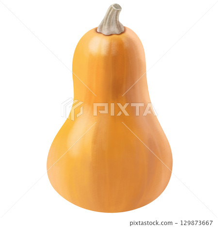 葫蘆形南瓜 129873667