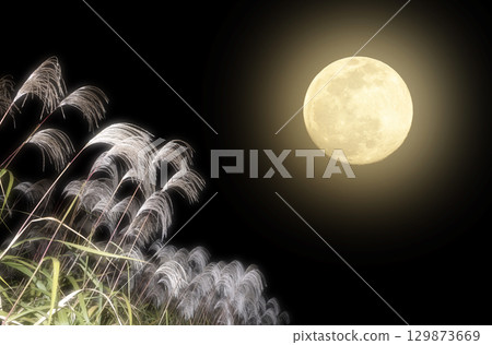 Full moon and silver grass on a black background in autumn Full moon and silver grass on a black background in autumn 129873669