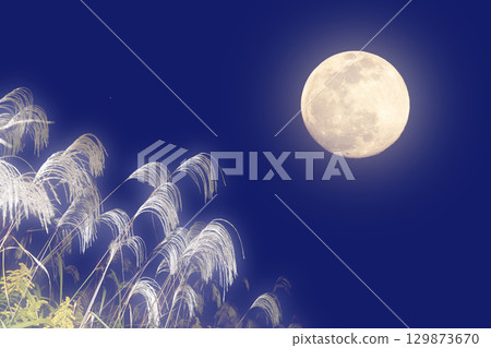 賞月。秋夜藍色背景中的滿月和日本蒲葦 129873670
