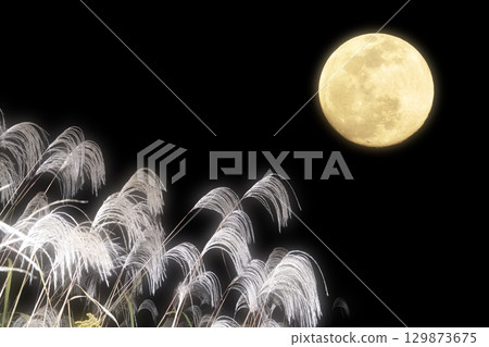 Autumn moon viewing material of full moon and silver grass Autumn moon viewing material of full moon and silver grass 129873675