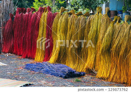 Dyed multicolored reeds are dried at village handicraft factory for production of traditional Vietnamese mats in Vietnam 129873762