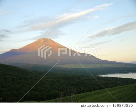 晨光紅富士 129873850