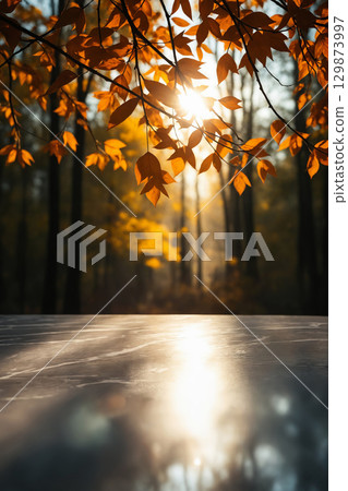 Yellow Leaves in sunlight. Autumn background for presentation 129873997
