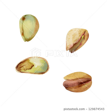 Natural pistachio cashew nuts with cracked shells and green kernels, culinary fruit seeds. Isolated illustration hand drawn in watercolor. Gourmet food label, dessert topping art, artisan snack wrap. 129874543