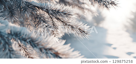 Frost covered pine branch in winter forest lifestyle scene with soft sunlight creating calm and peaceful atmosphere in cold season nature 129875258