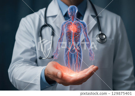 Doctor hologram showing human circulatory system with heart glowing in palm of hand representing medical technology and healthcare innovation Doctor hologram showing human circulatory system with heart glowing in palm of hand representing medical technology and healthcare innovation 129875401