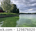 Green algae pollution on a water surface. Ecological concept 129876020