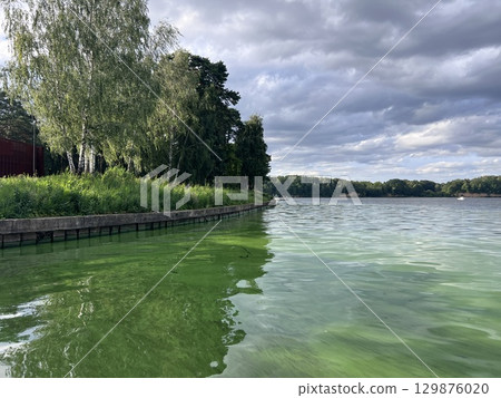 Green algae pollution on a water surface. Ecological concept 129876020