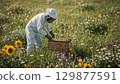Beekeeper in a white suit working with a beehive in a field, surrounded by flowers and bees 129877591