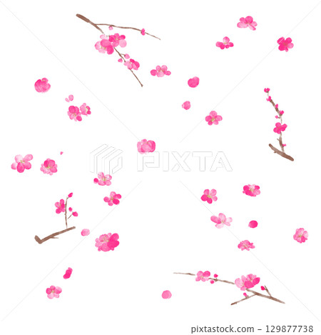 水彩梅花插圖集 129877738
