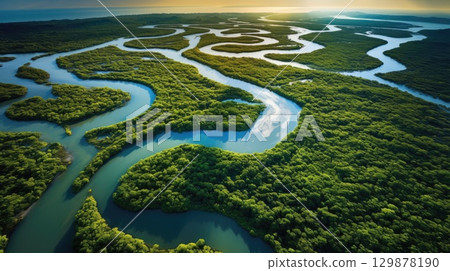 tropical mangrove forest high angle view 129878190