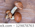 Fresh Suillus Mushrooms on Wooden Stump, Autumn Forest Harvest 129878763