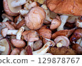 Fresh Suillus Mushrooms Background, Autumn Forest Harvest 129878767